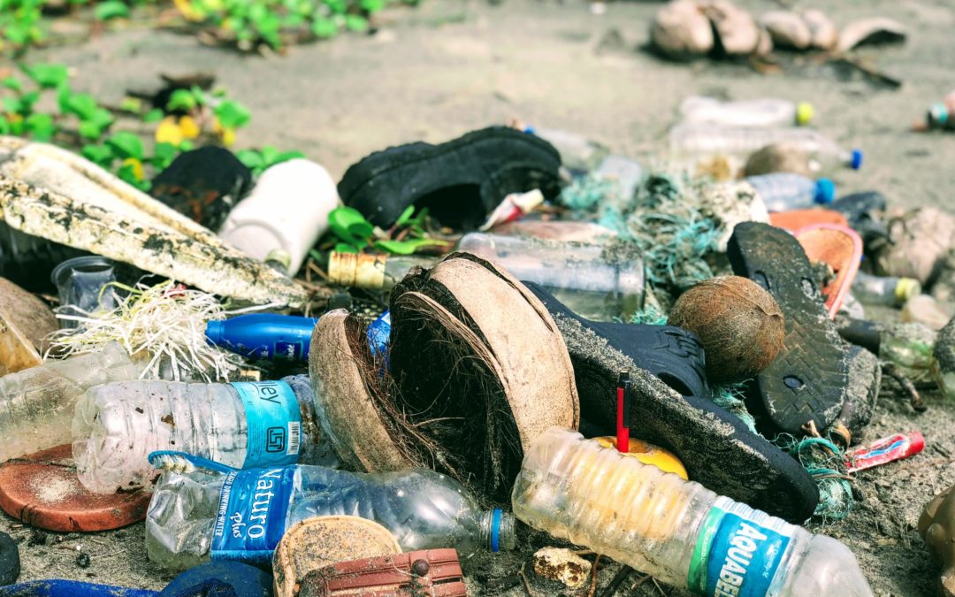 Crise sanitaire et loi anti-gaspillage